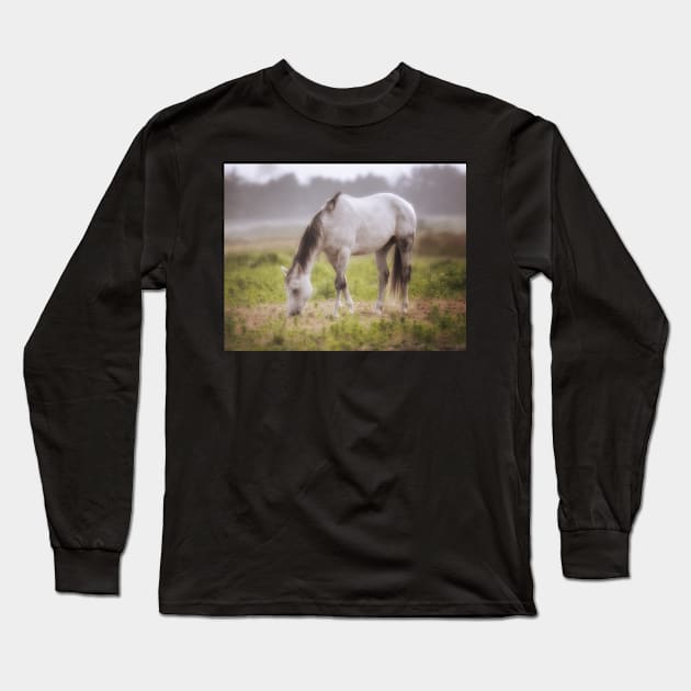 Horse in the Fog Long Sleeve T-Shirt by JeffreySchwartz